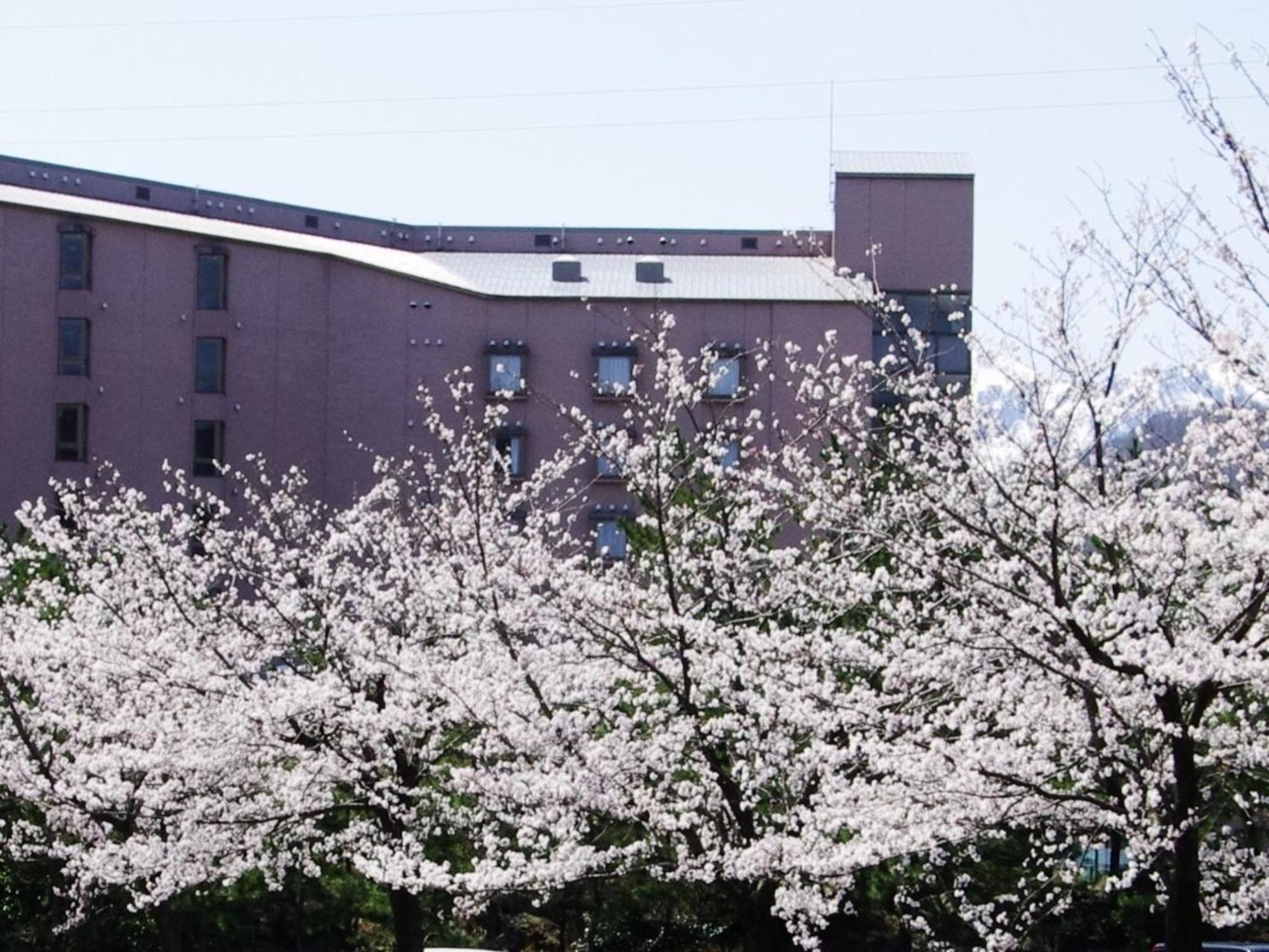 Hotel Kunitomi Annex - Vacation Stay 12075V Itoigawa Exterior photo